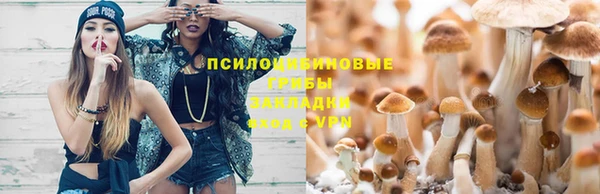 амфетамин Михайловск
