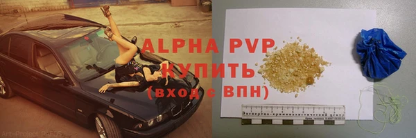 стаф Медногорск