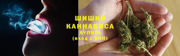 дурь Переславль-Залесский