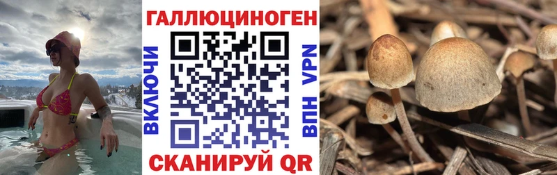 Галлюциногенные грибы мухоморы  Фокино 